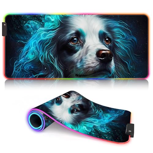 a35-Poodle Dog Visionaryb