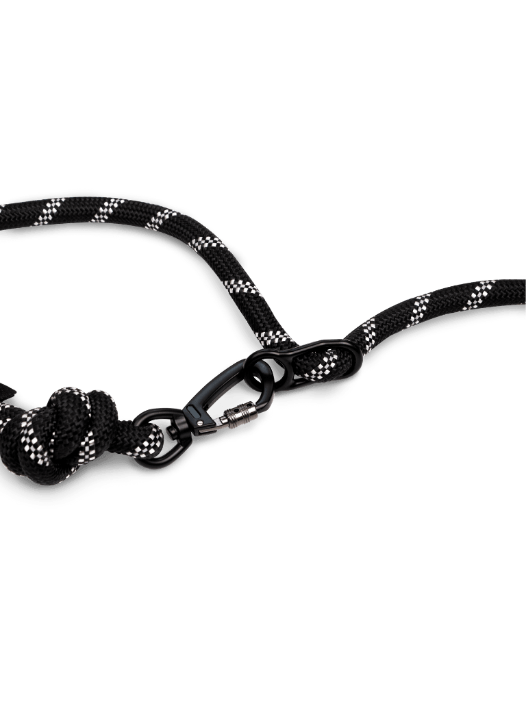 Hands-Free Blackout Running Dog Leash - Reflective & Adjustable for Jogging, Hiking & Night Walks with Your Pet