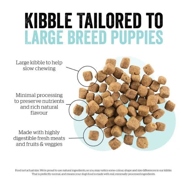 Now Fresh Turkey, Salmon & Duck Recipe Large Breed Dry Puppy Food - Premium Grain-Free Nutrition for Growing Big Dogs - Perfect for Active Puppies & Large Breed Development