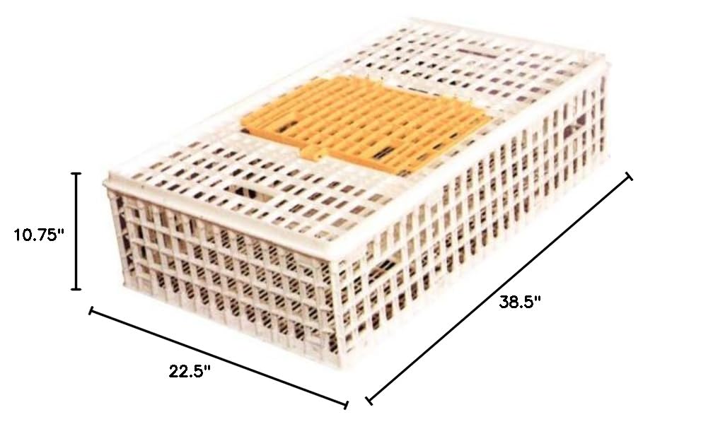 Best Poultry Transport Coop for Chickens, Ducks & Birds - Heavy Duty Portable Chicken Crate for Safe Livestock Travel - Ideal for Farmers, Vet Visits & Poultry Shows
