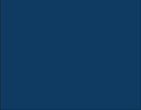 Light-Navy