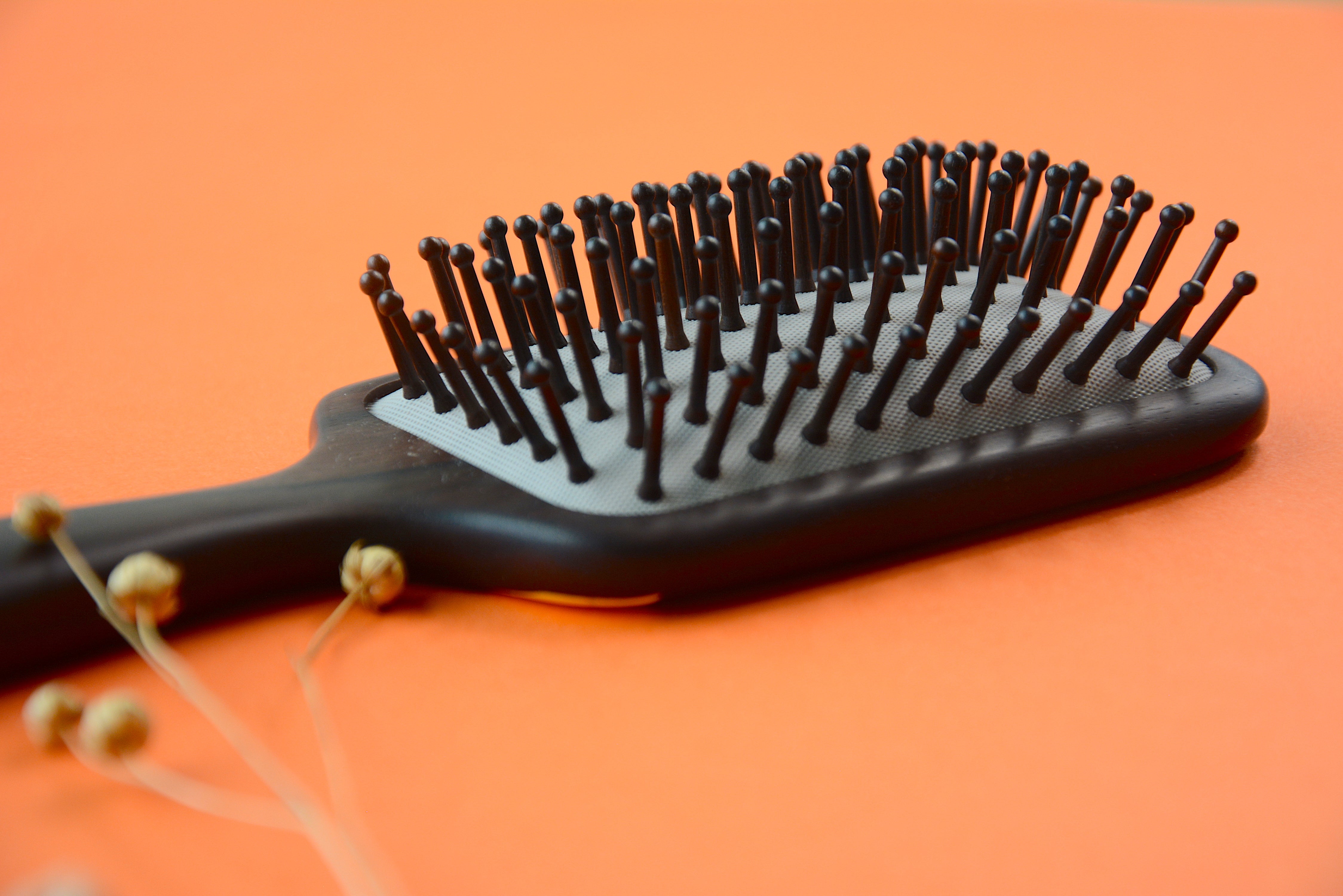 Bunny Carrot Hair Brush - Cute Animal Shaped Detangling Brush for Kids & Adults - Perfect for Home, Travel, and Gifts