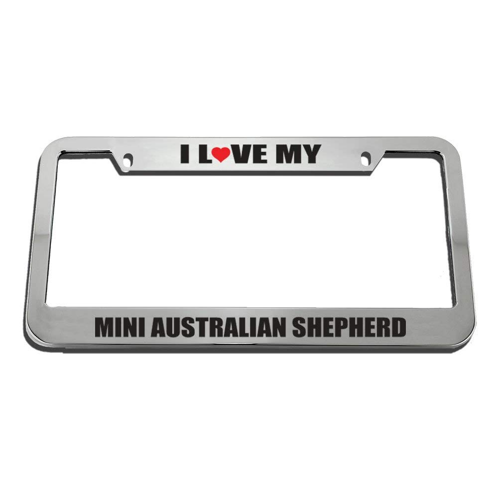 QDENGMetal License Plate Frame - Speed Racer Funny Car Accessories - Chrome 2 Hole Design for Cars & Trucks - Perfect for Auto Enthusiasts & Gift Giving