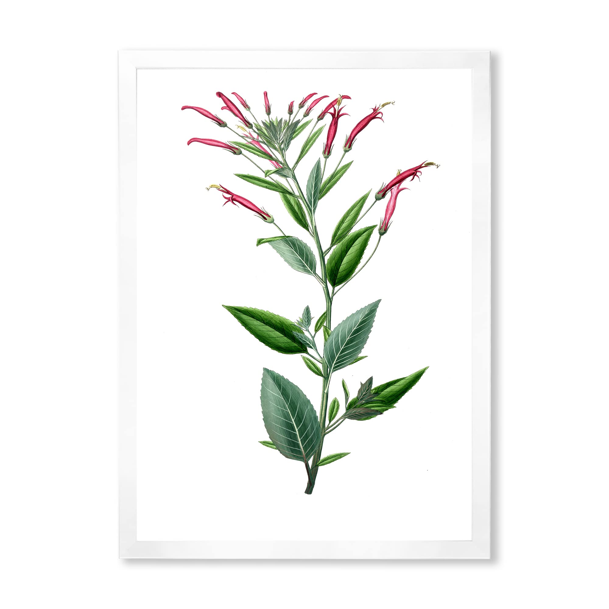 Vintage American Flora III Traditional Framed Wall Art - Classic Botanical Home Decor for Living Room, Bedroom & Office