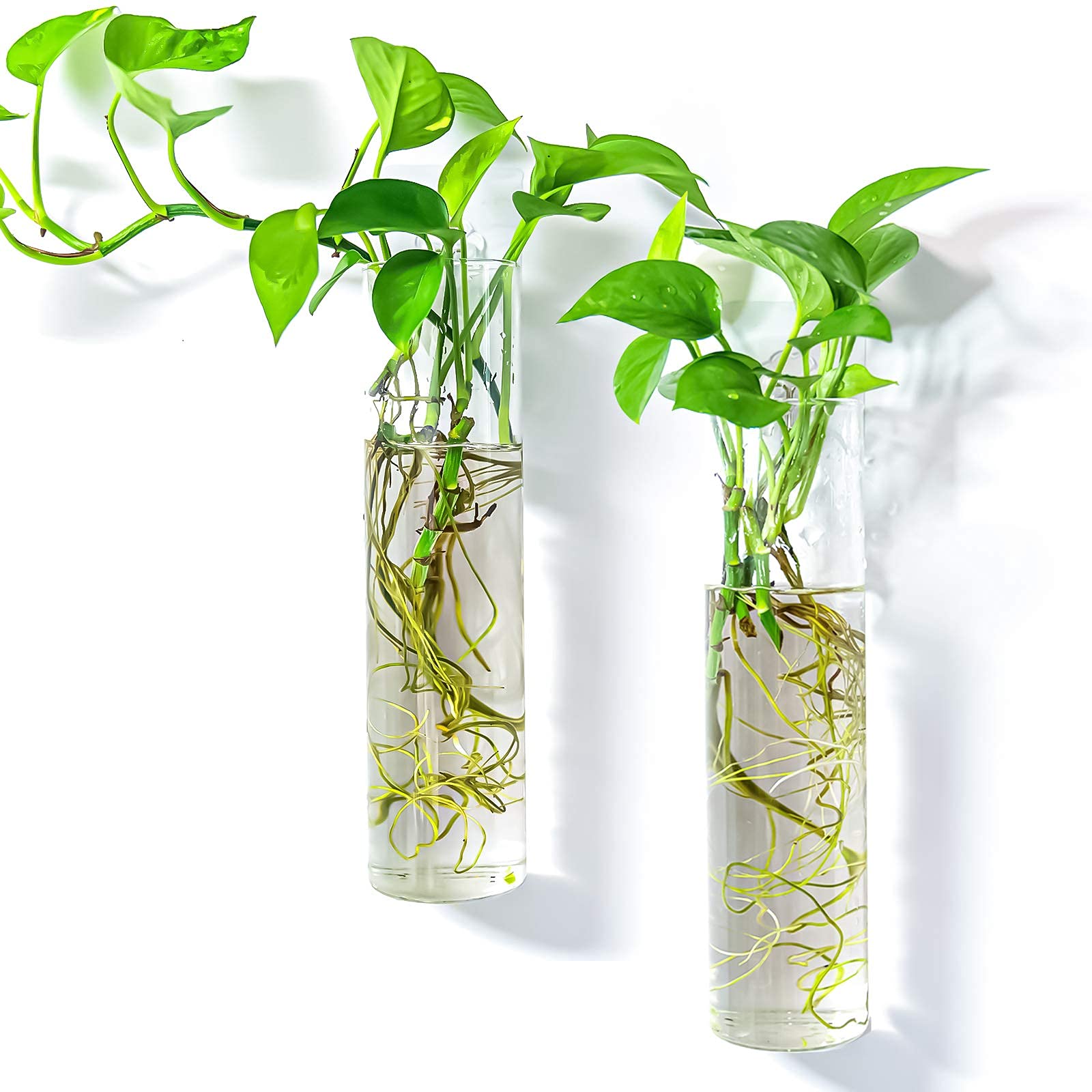 Kingbuy Glass Wall Hanging Planters - Air Plant Terrariums & Hydroponic Plant Containers for Home & Office Decor (Heart Vase + Large Cylinder) - Perfect for Indoor Gardens, Living Room Decor, and Gift Ideas