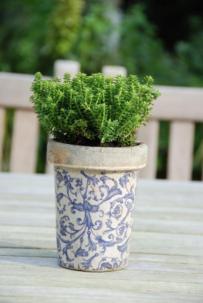 Esschert Design USA Ceramic Long Toms Flower Pots - Blue and White Hand-Painted Garden Planters for Indoor & Outdoor Decor - Perfect for Flowers, Herbs, and Succulents