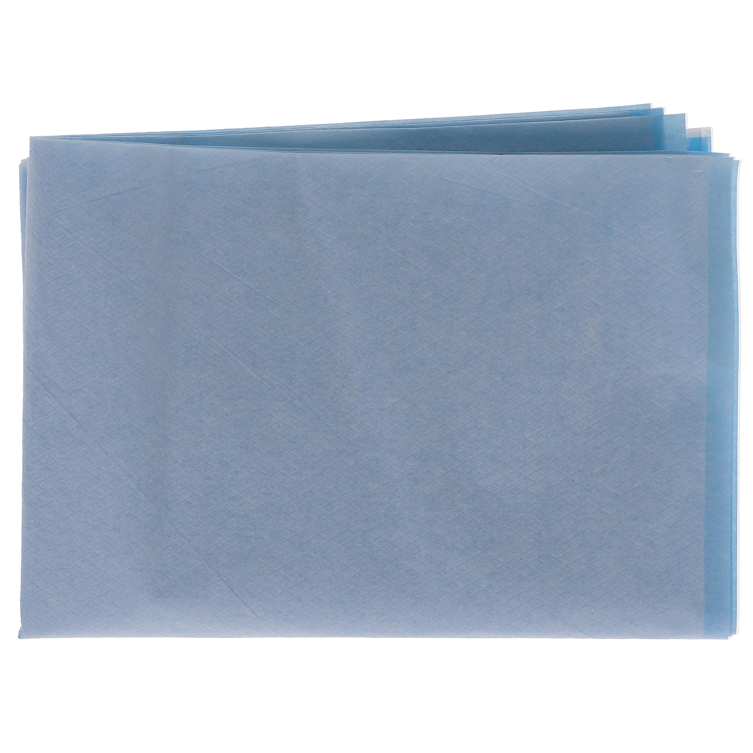 HSB 101128 Disposable Dental Headrest Covers 10