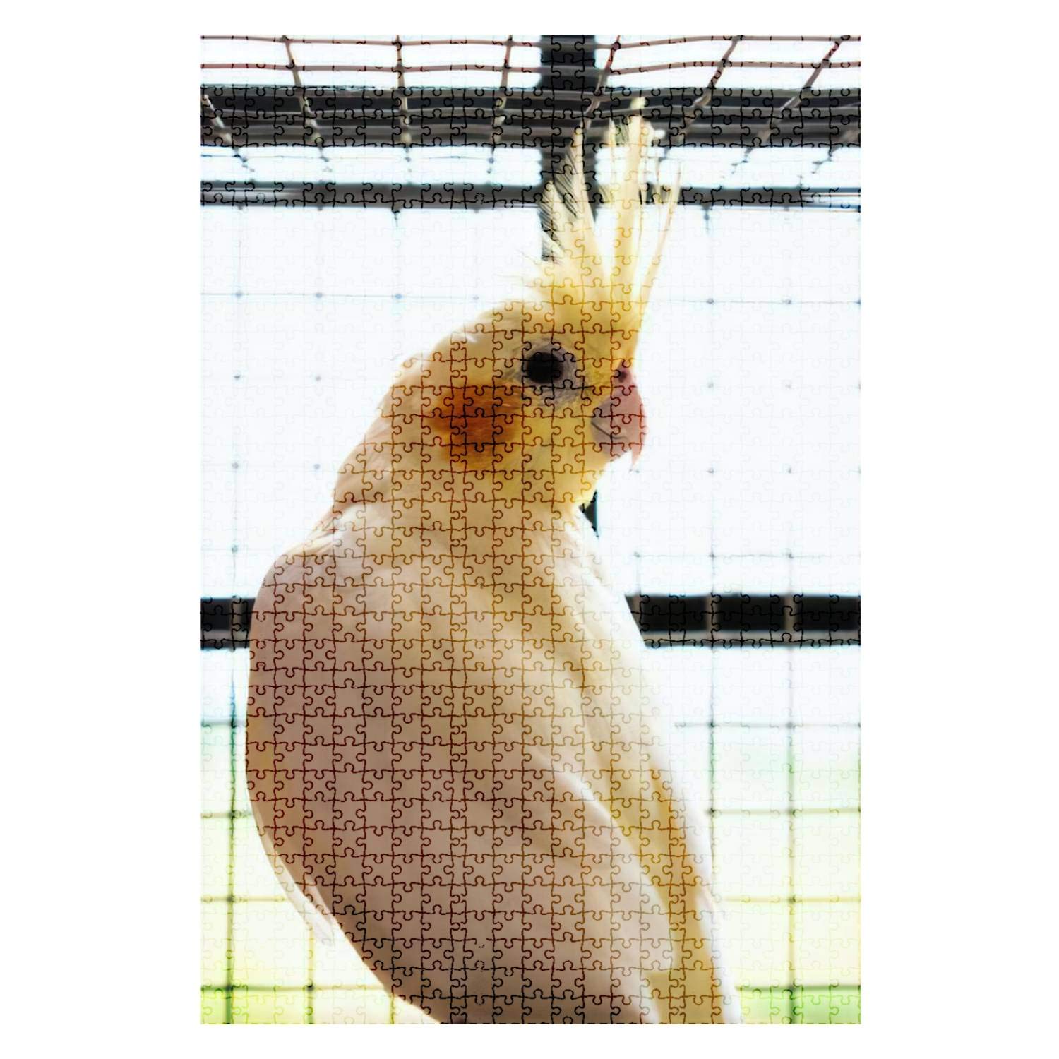 1000-Piece Wooden Jigsaw Puzzle - Cockatiel Yellow Parrot Art - Fun & Challenging Adult Puzzle Game - DIY Educational Toy Gift for Kids & Adults - Home Decor & Wall Art - Perfect for Family Game Night, Stress Relief & Brain Training