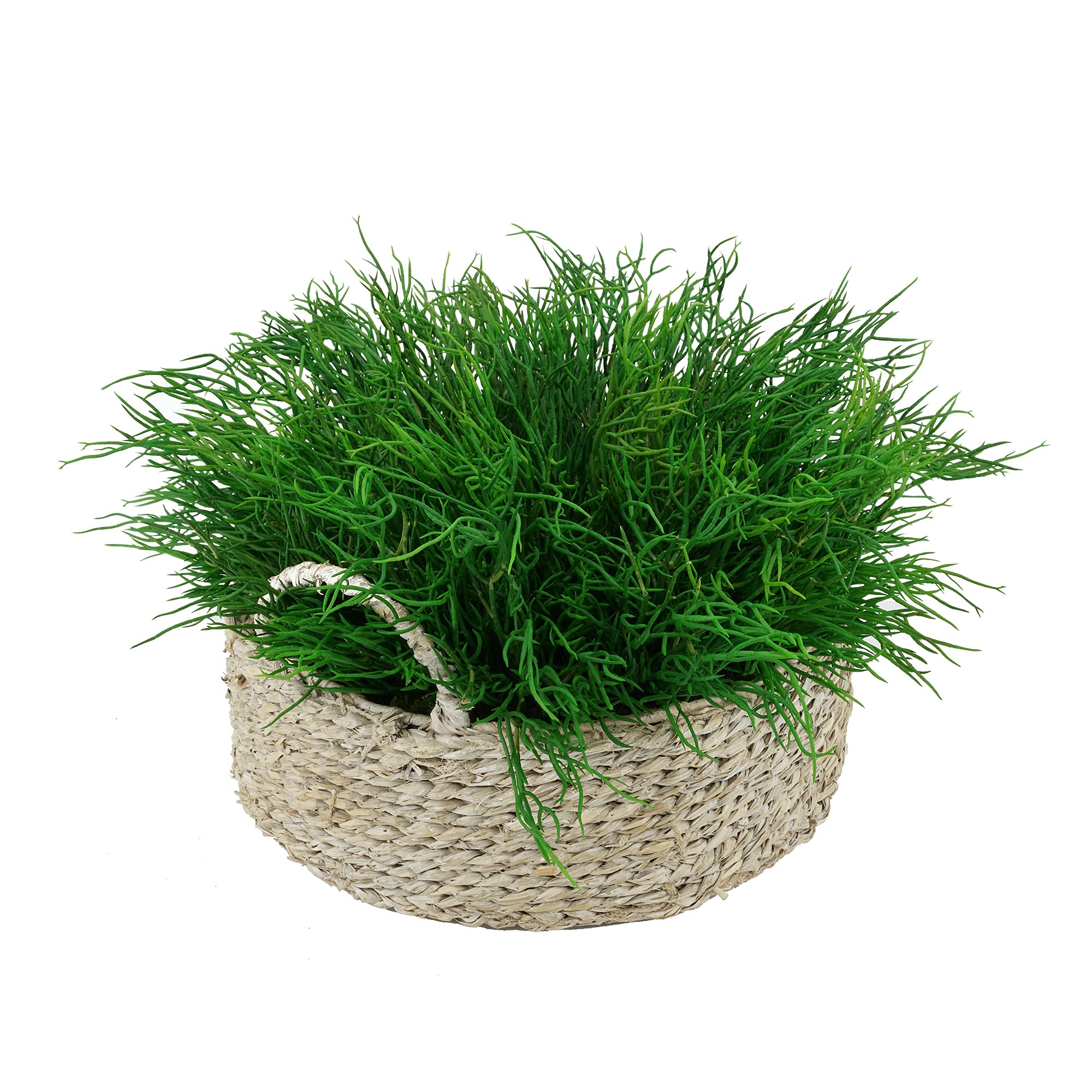 Artificial Silk Saltwort Plant in White-Washed Seagrass Basket Tray - Perfect for Home Decor, Office Desk, and Coastal-Themed Interior Design