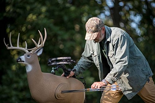 Field Logic Big Shooter Buck 3D Archery Target with Replaceable Insert Core - Realistic Deer Hunting Practice Target for Bow & Arrow Training - Perfect for Backyard, Range, and Outdoor Shooting Practice