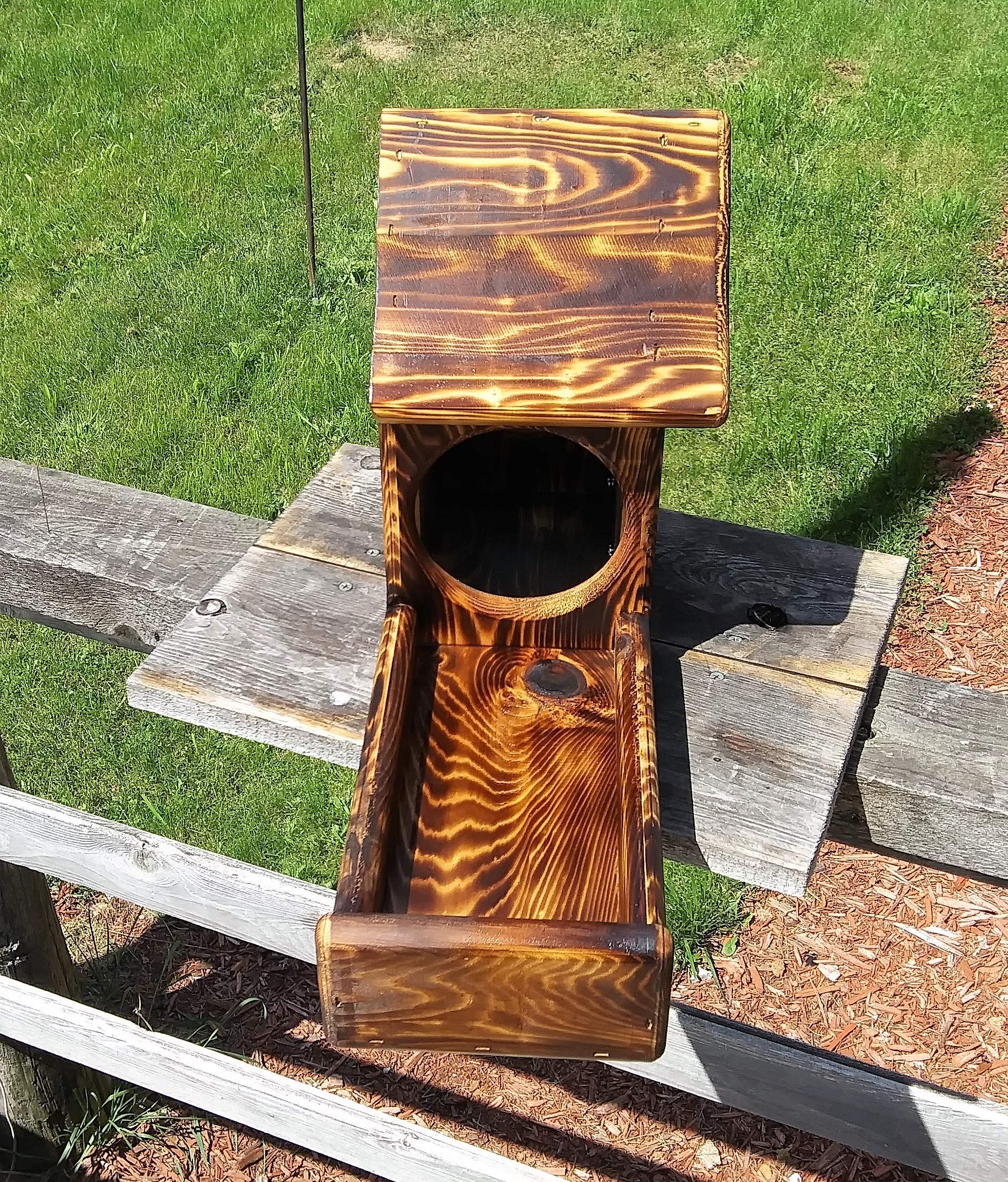 Cedar Wood Squirrel Feeder - Gallon Glass Jar with Fence Mount - Outdoor Wildlife Feeding for Backyard, Garden & Patio
