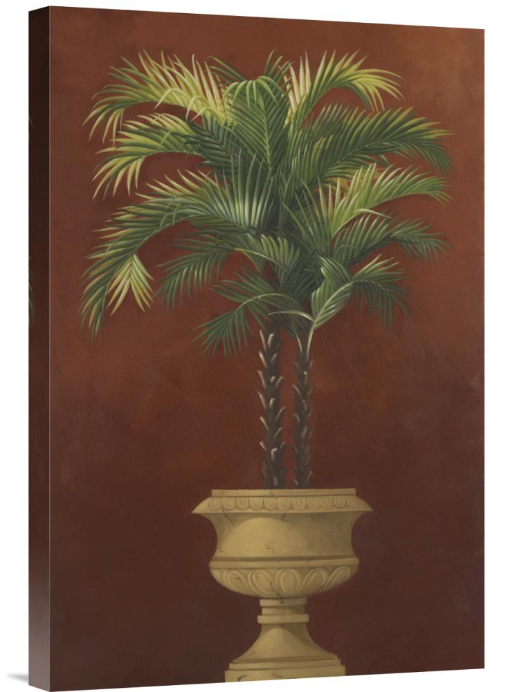 Global Gallery Budget GCS-127139-1624-142 Welby Potted Palm Red IV Canvas Wall Art Print - Tropical Home Decor for Living Room, Bedroom & Office