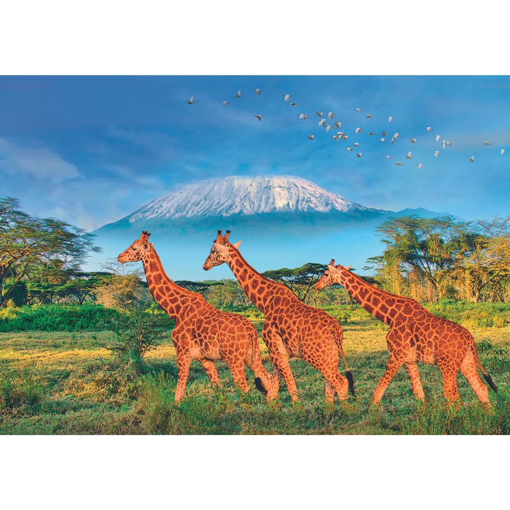 Calypto 500-Piece XL Jigsaw Puzzle - Giraffes Wildlife Theme | Perfect for Family Game Night, Stress Relief & Home Decor