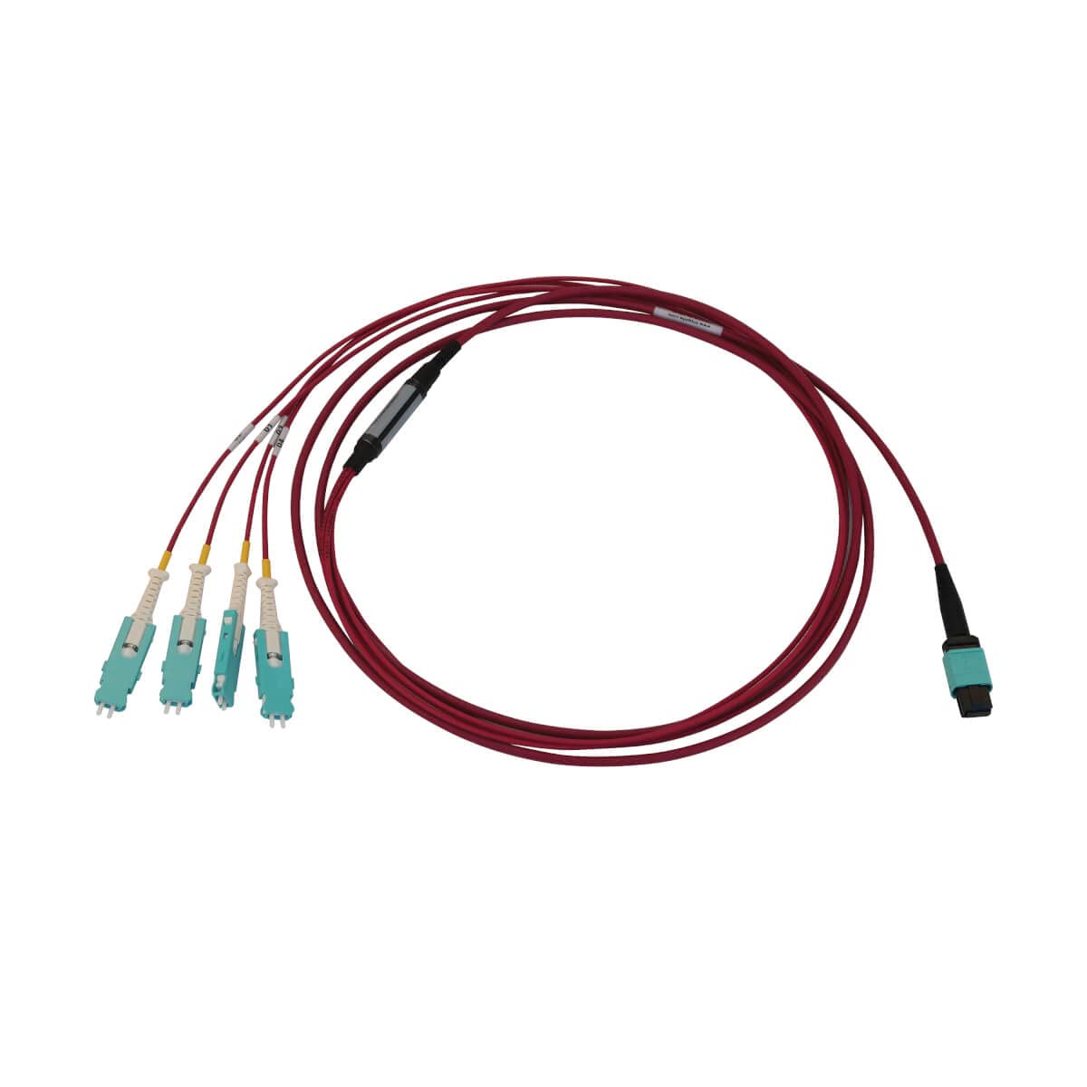 Tripp Lite 400G OM4 Multimode Fiber Optic Cable - MTP/MPO-PC to 4X Duplex SN-PC for OSFP/QSFP-DD Transceivers, 50/125 LSZH Magenta, 6.6ft/2m with Lifetime Warranty (N845-02M-4S-MG) - Ideal for High-Speed Data Centers & Network Infrastructure