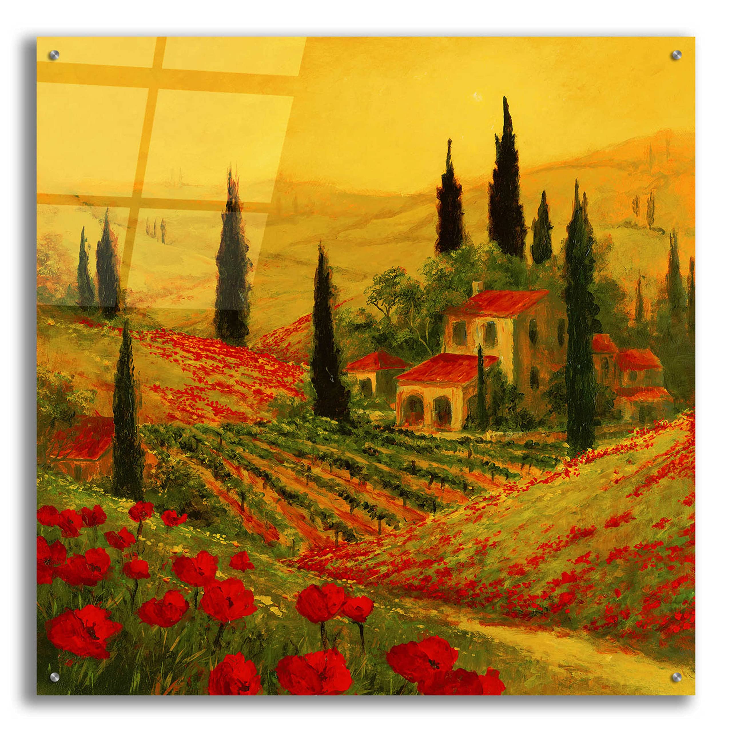 Epic Art 'Poppies of Toscano II' by Art Fronckowiak - 36x36 Inch Acrylic Glass Wall Painting - Modern Home Decor for Living Room, Bedroom & Office