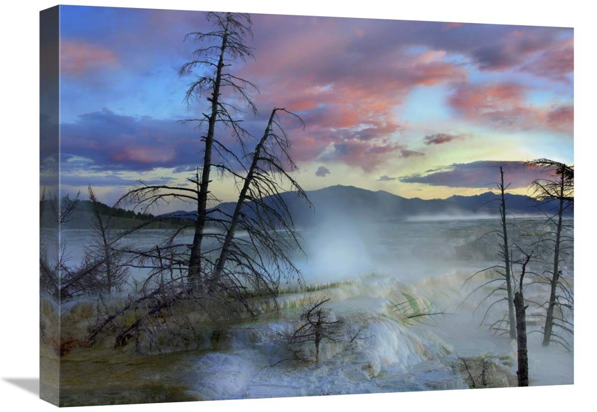 Yellowstone National Park Canvas Art - 24x18 Inch Steam Rising from Minerva Terrace at Mammoth Hot Springs Wyoming - Wall Decor for Living Room, Office & Bedroom