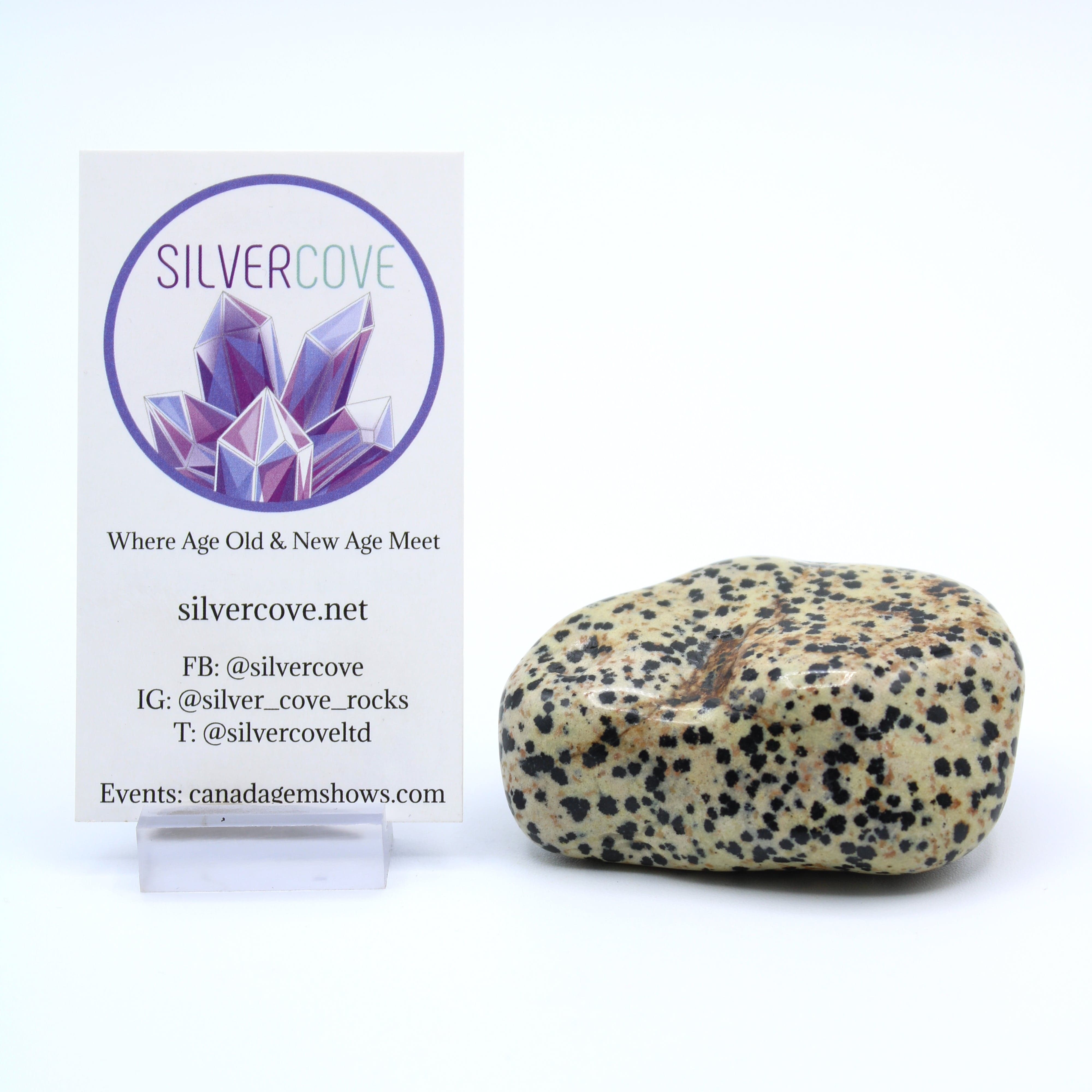 Dalmatian Jasper Free Form Stone - Natural Healing Crystal for Meditation, Home Decor & Spiritual Energy - Perfect for Yoga, Reiki & Positive Vibes