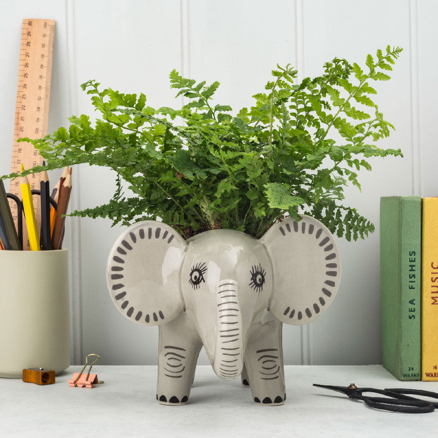 Elephant Planter - Cute Ceramic Flower Pot for Succulents, Small Plants & Home Decor | Perfect for Indoor, Outdoor, Office & Garden Use