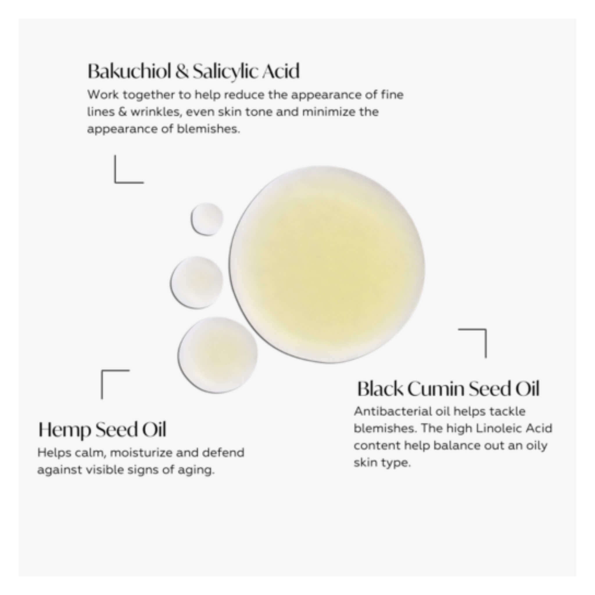 Bakuchiol Bio Retinol Concentrate Serum - Natural Anti-Aging Face Treatment for Wrinkles & Fine Lines | Vegan Skincare for Sensitive Skin | Perfect for Night Routine & Daily Moisturizing
