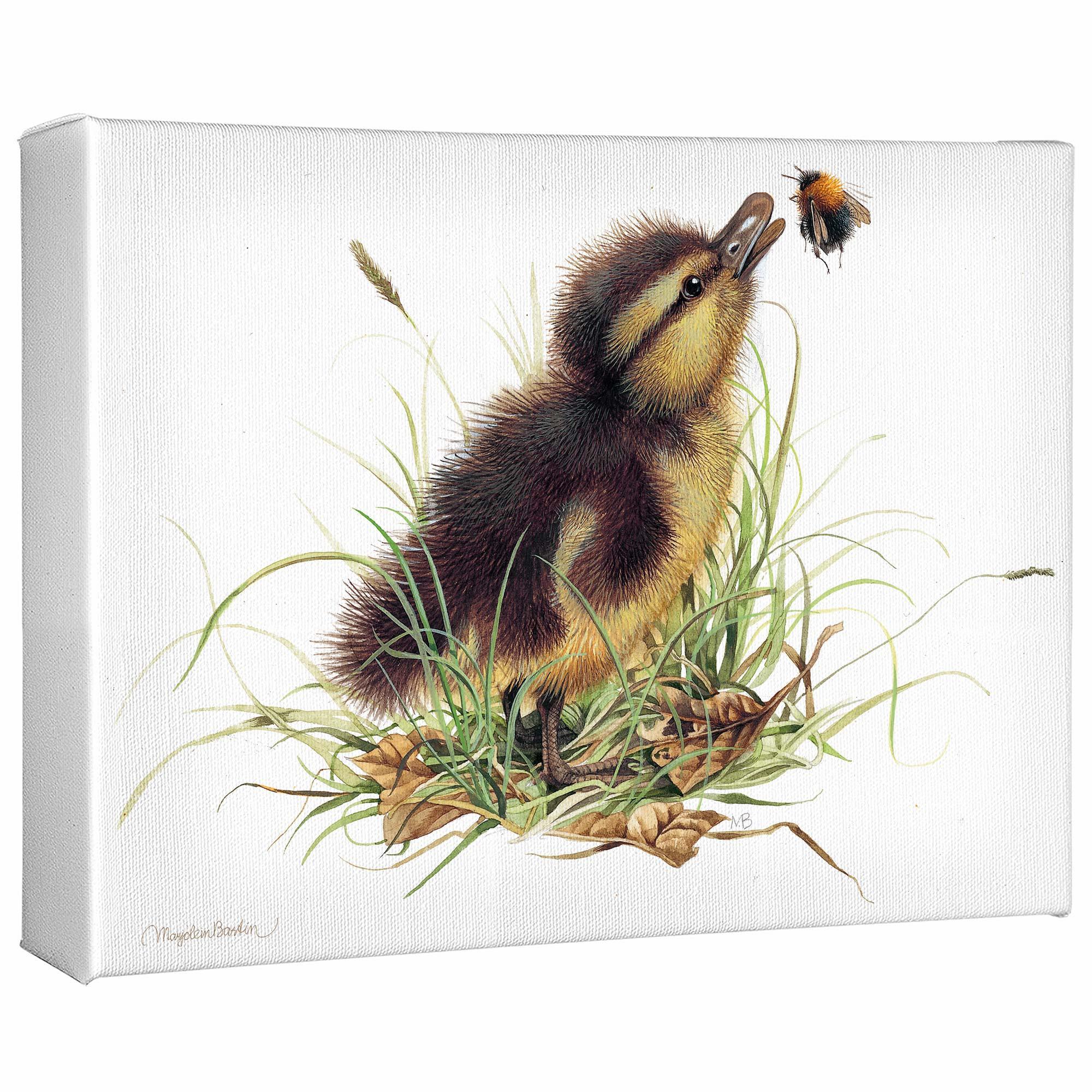 Funny Duckling Distraction Toy - Cute Rubber Duck for Stress Relief & Bath Time Fun - Perfect for Kids, Adults, and Office Desk Decor