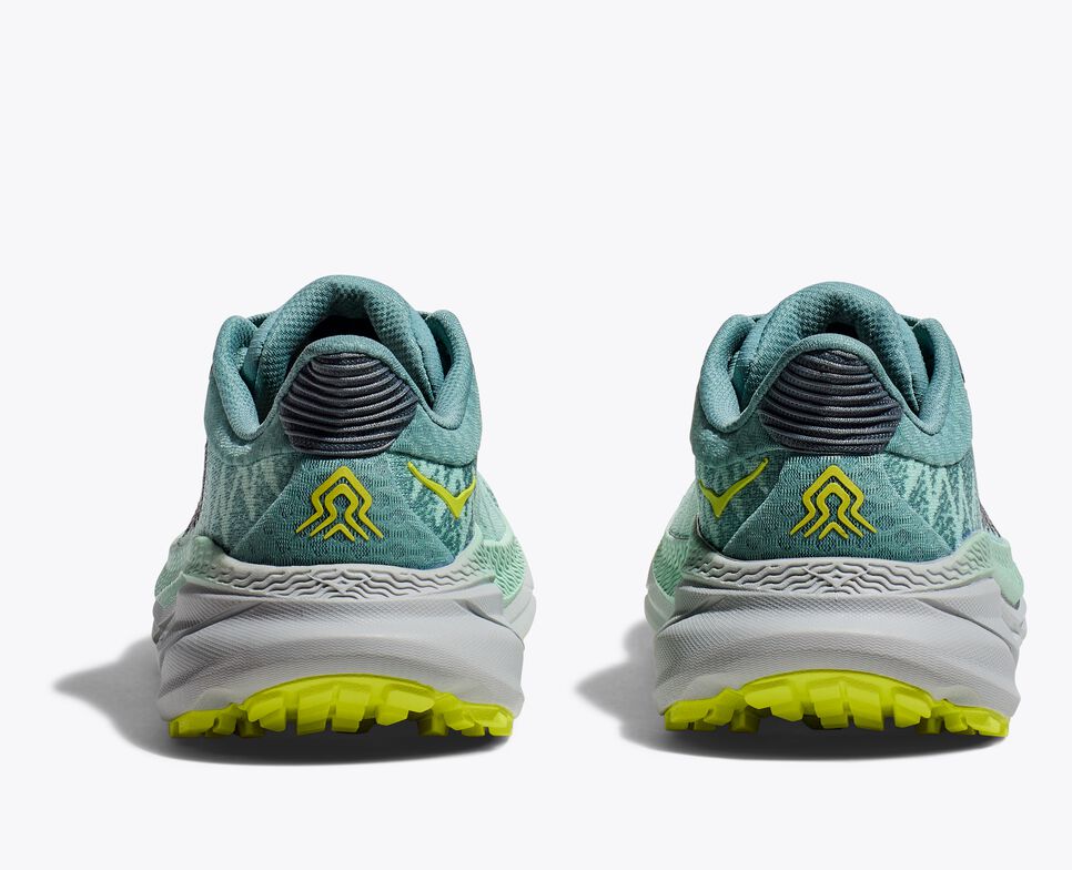 Women's ASICS Challenger 7 Running Shoes - Mist Green/Trellis - Lightweight & Cushioned for Trail Running & Outdoor Workouts