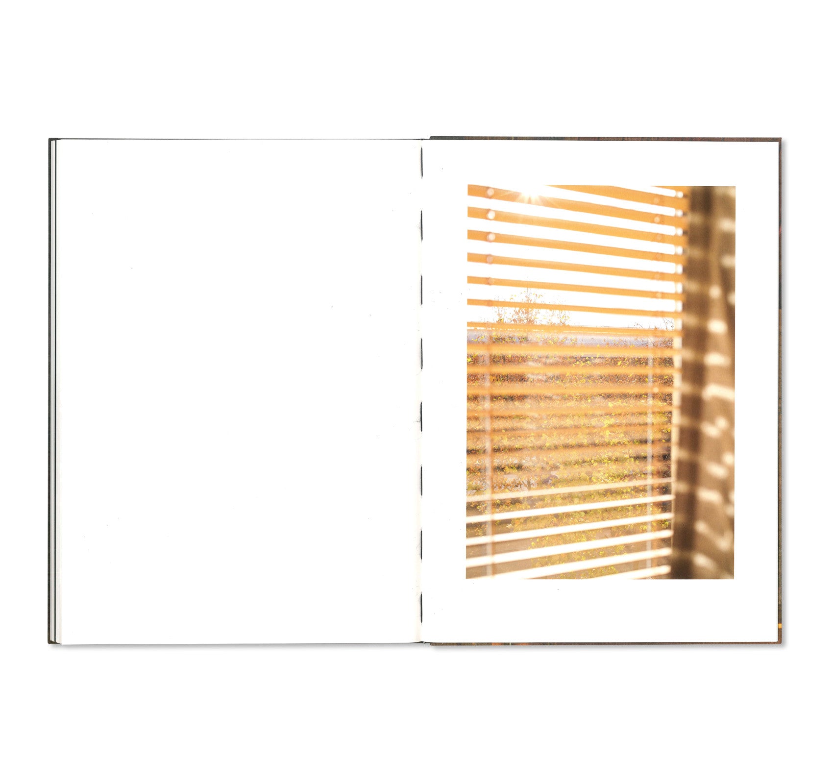 Paris November 11-15, 2015 Photography Book by Paul Graham - Perfect for Art Collectors & Photography Enthusiasts