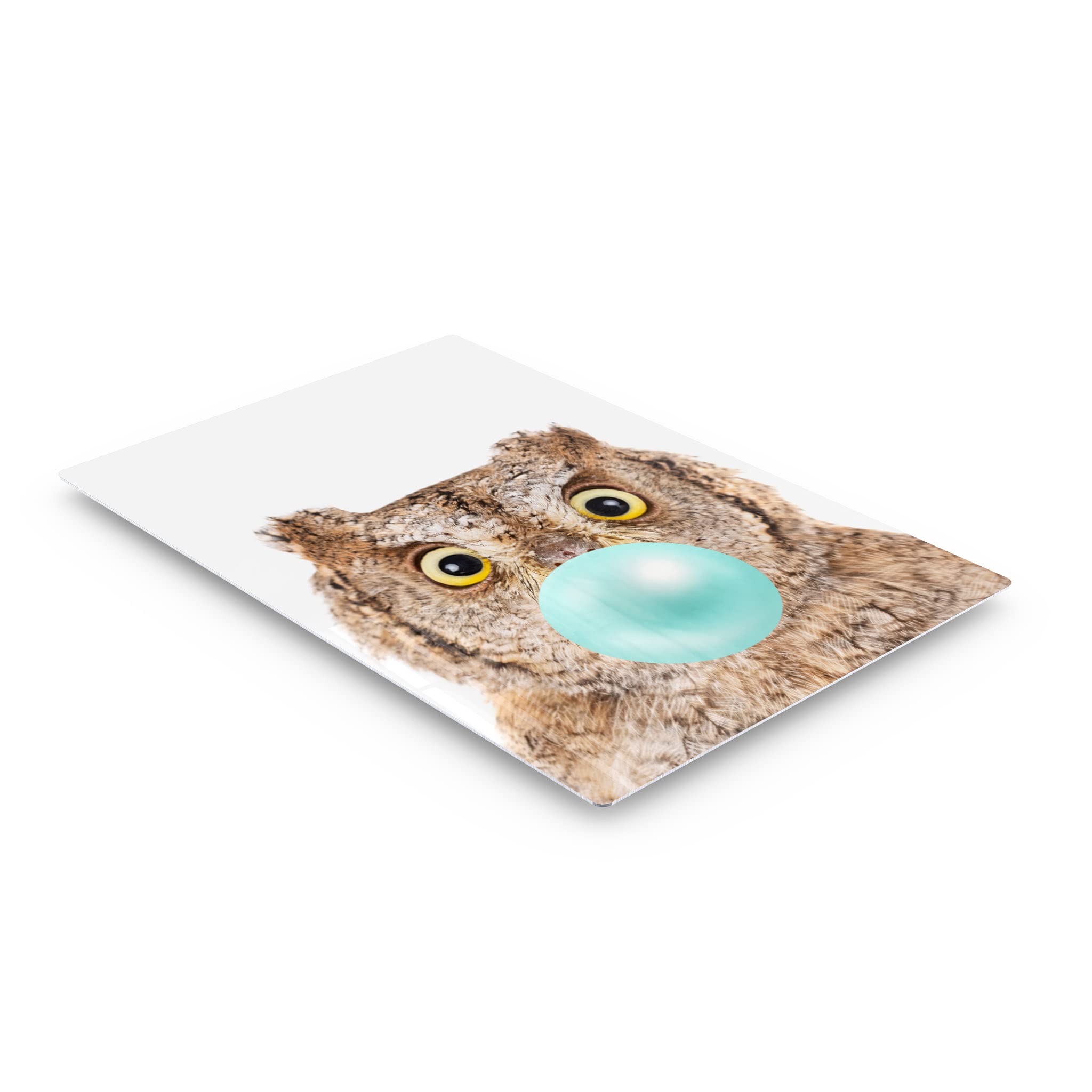 Eurasian Scops Owl Chewing Blue Bubble Gum Metal Wall Art Print - 12x8 Inch African Safari Animal Pop Art for Office, Living Room, Bedroom & Nursery Decor | Unique Home & Gift Idea for Animal Lovers