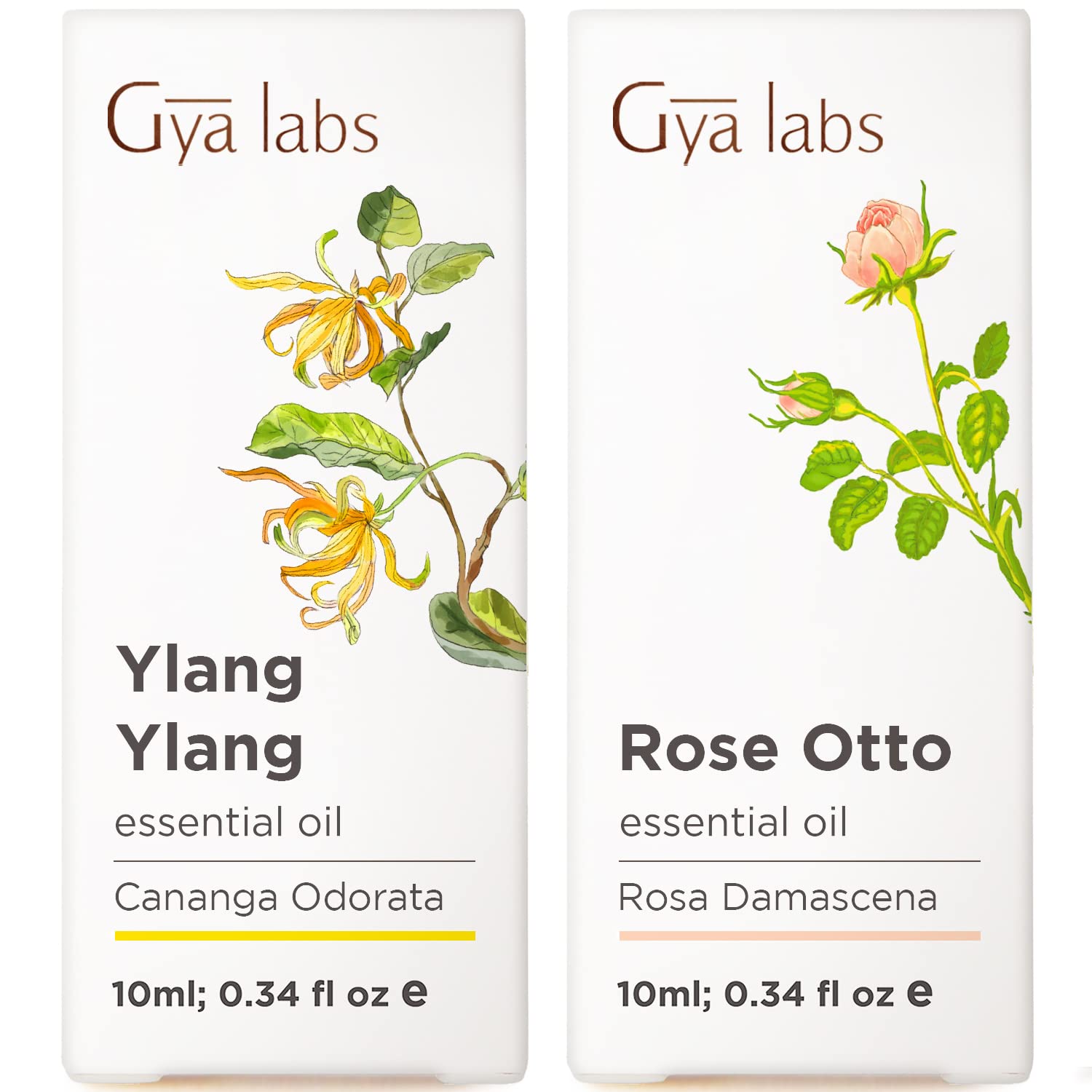 Ylang Ylang & Rose Essential Oil Set - 100% Pure Natural Aromatherapy Grade for Skin Care, Relaxation & Massage - 2x10ml Bottles by Gya Labs - Perfect for Diffusers, Bath & DIY Beauty Products