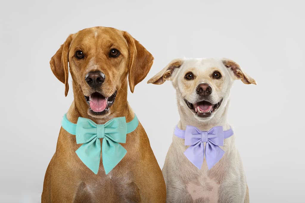 Adjustable Breakaway Dog Collar with Bow Tie - Green Sailor Style Collar for Small Medium Large XL Dogs - Golden Metal Buckle Pet Accessories - Perfect for Birthday Gifts, Costume Parties & Daily Walks