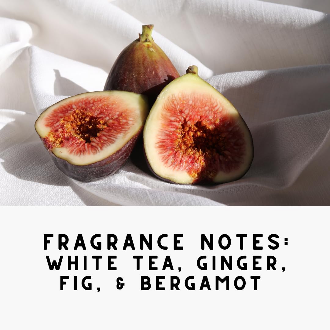 White Tea & Fig Natural Carpet Refresher Powder - Odor Eliminator for Mattress, Upholstery & Pet Beds | Safe Deodorizer for Homes with Kids & Pets | Freshens Carpets, Cat Litter & Dog Areas