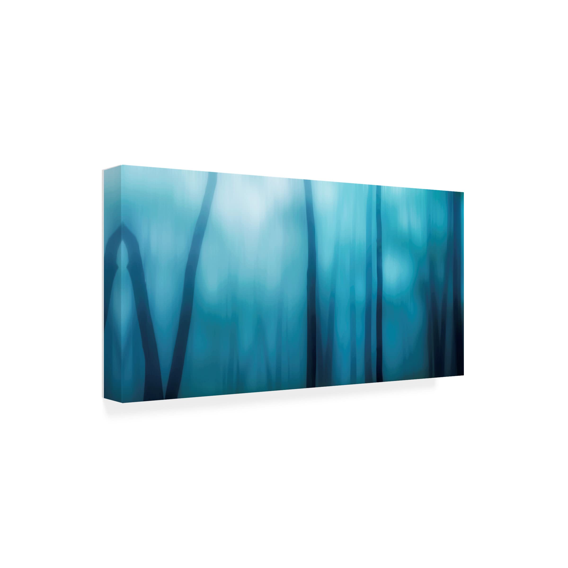 James McLoughlin 'Harriman Woods I' Canvas Art Print - Premium Trademark Fine Art Wall Decor for Living Room, Bedroom & Office