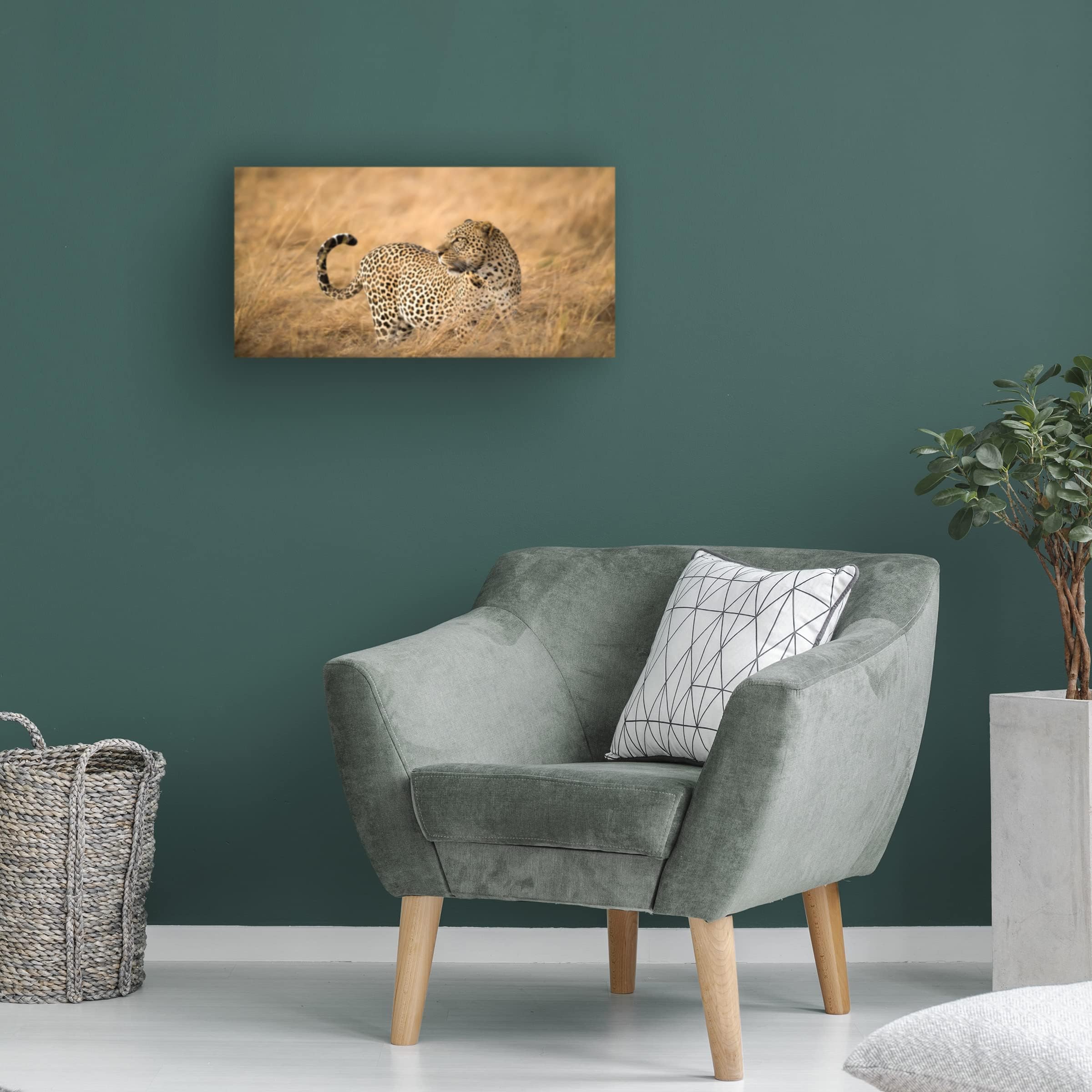 Trademark Fine Art 'Watching' Canvas Wall Art Print by Faisal ALnomas - Modern Abstract Painting for Living Room, Bedroom & Office Decor