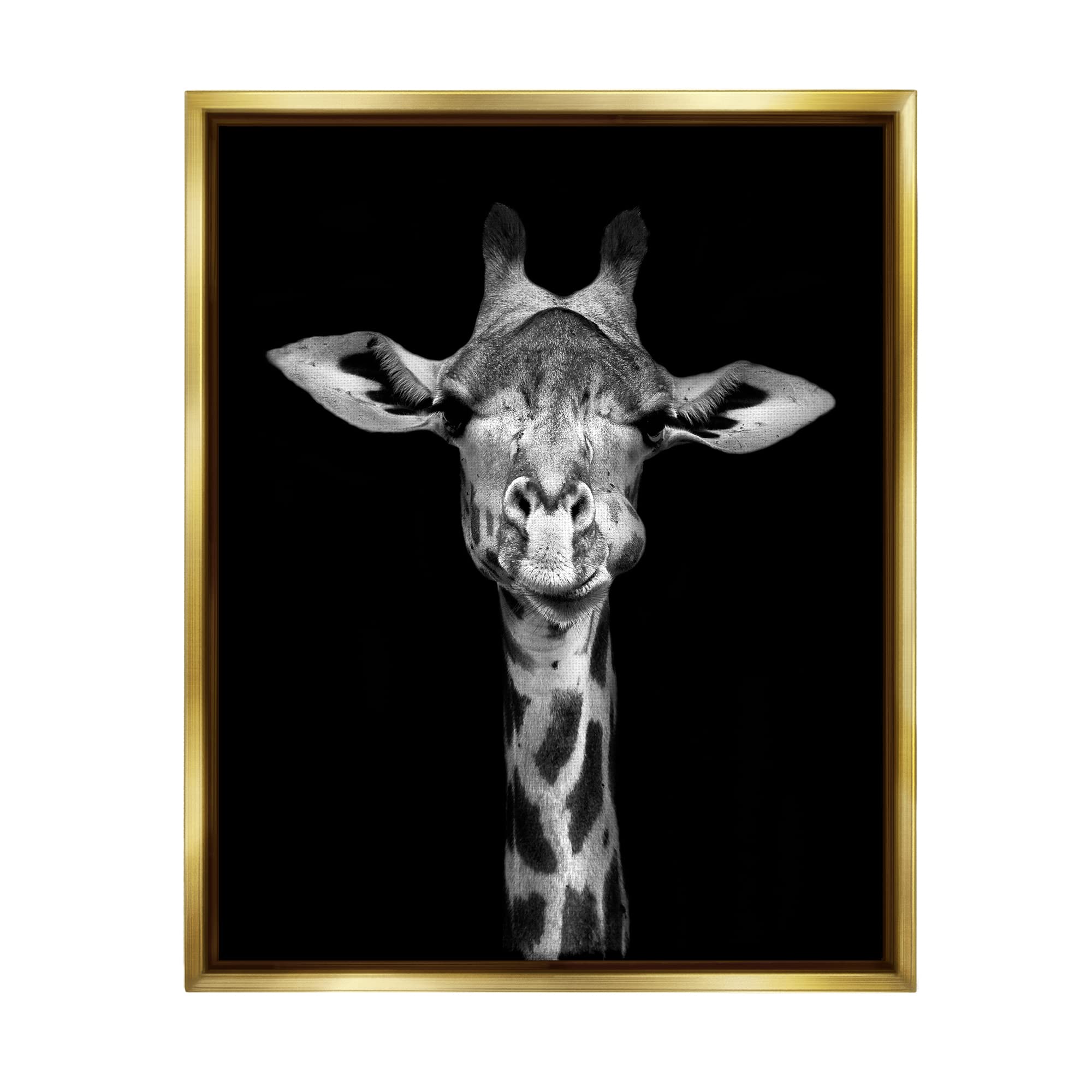 Stupell Industries Black and White Zebra Stripes Detailed Wildlife Photography Wall Art - Perfect for Living Room, Bedroom, or Office Decor