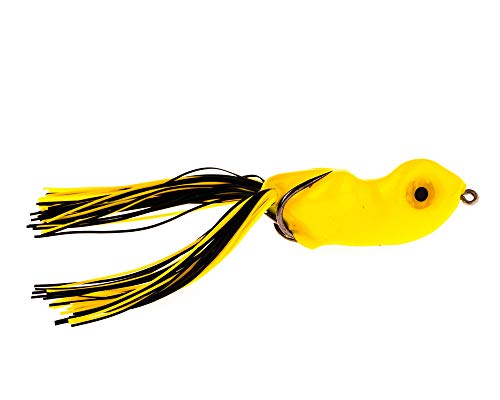 School Bus Yellow