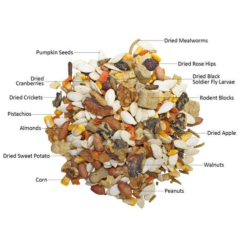 Premium Squirrel Food Starter Kit - Nutritious Wild Animal Feeding Mix for Backyard Squirrels - Perfect for Wildlife Watching & Garden Feeding Stations