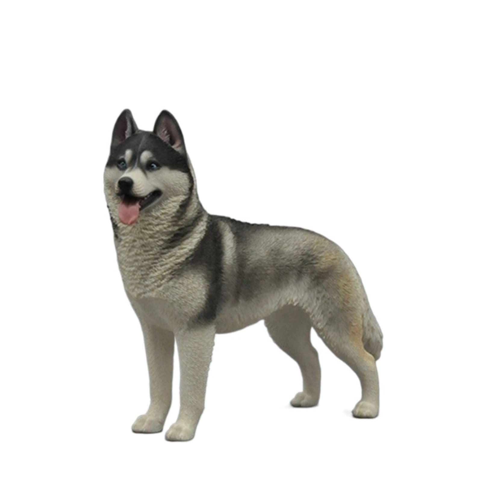 BELLAALONG 1:6 Scale Realistic Husky Dog Resin Figurine - Handcrafted Animal Statue for Home & Office Decor, Kids Room, Gift for Pet Lovers & Collectors (Jungle Animal Collection, Color D) - Perfect for Shelf Displays, Birthday Gifts & Themed Party Decorations
