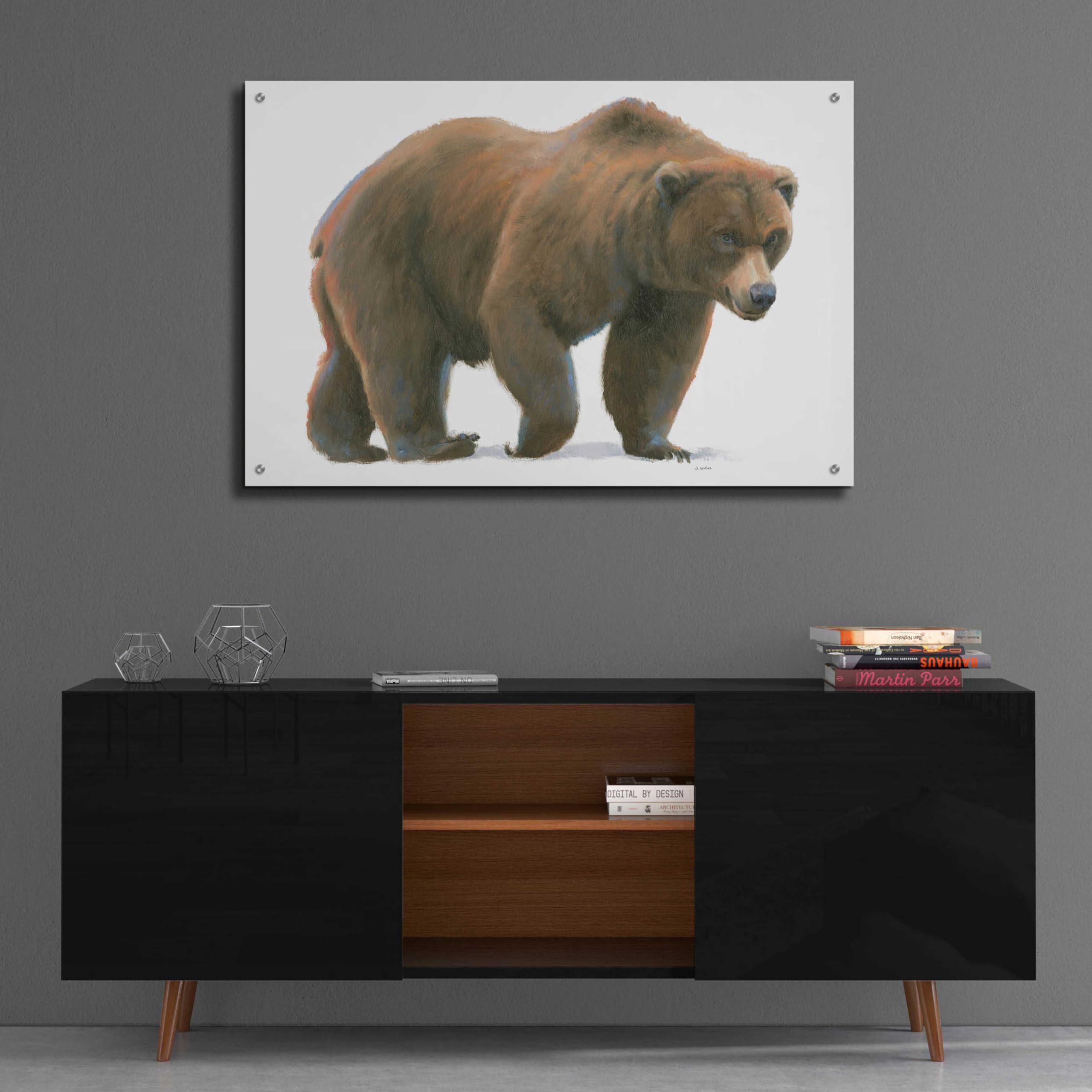 Epic Art 'Northern Wild I' by James Wiens - 36x24 Inch Acrylic Glass Wall Art Painting for Living Room, Bedroom & Office Decor