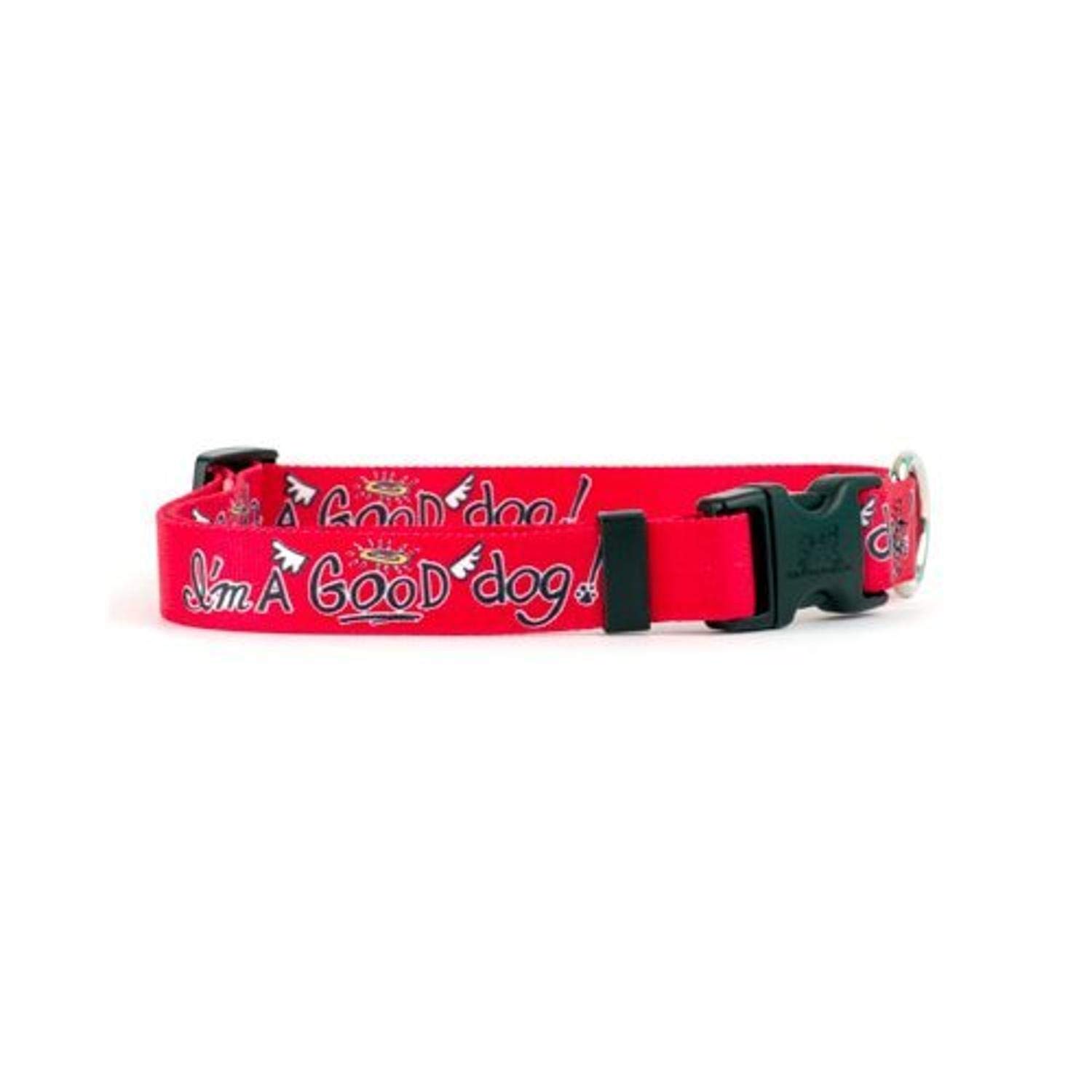 Premium Small Dog Collar for Puppies 8