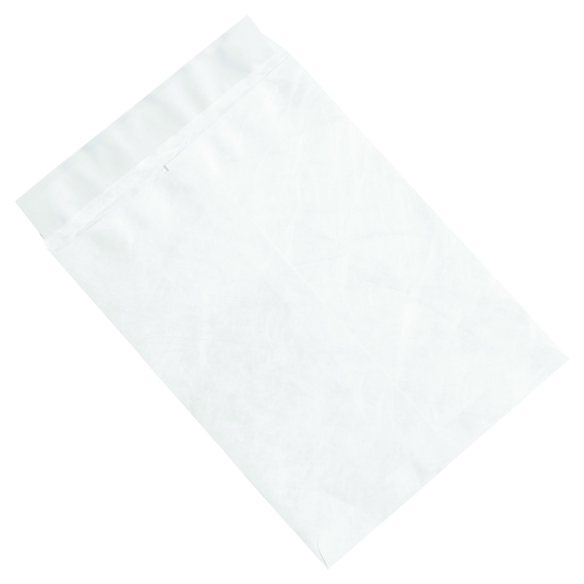 Partners Brand PTYF0912WH Tyvek Flat Envelopes 9x12 Inches, White - 100 Pack | Waterproof & Tear-Resistant Mailing Envelopes for Documents, Photos & Important Papers