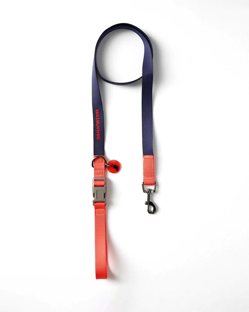 Sonia Dog Leash for Small Medium Dogs - Durable Nylon Reflective Pet Leash with Comfortable Padded Handle - Perfect for Walking, Training & Outdoor Adventures