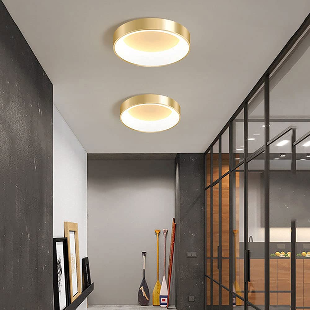 Nordic Luxury Dimmable LED Ceiling Light - Modern Round Flush Mount Fixture with Gold Finish - Energy Saving Flat Panel Lighting for Living Room, Bedroom & Kitchen - Perfect for Home Decor and Ambient Lighting