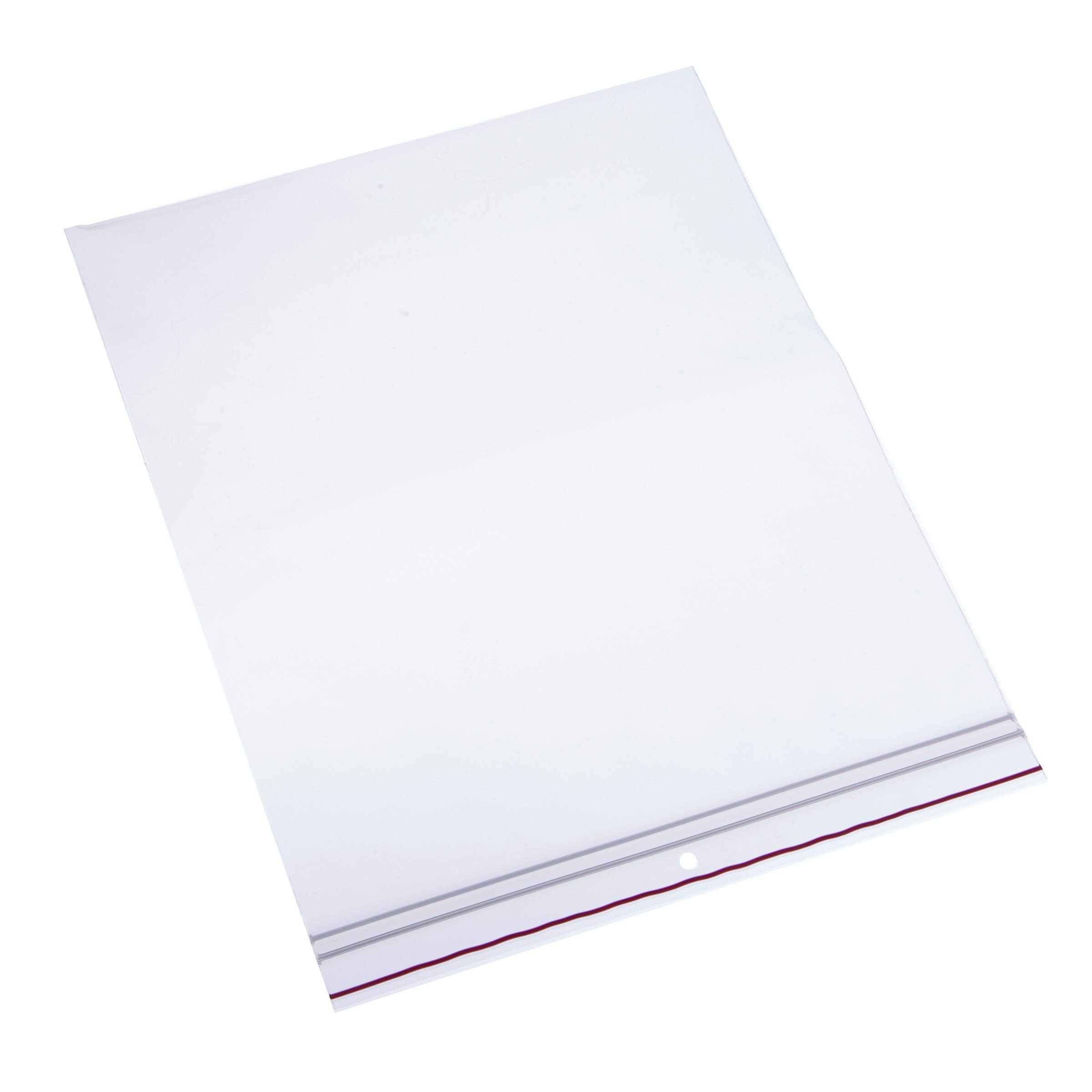 Premium Clear Reclosable Polyethylene Bags (LDPE/LLDPE Blend) - 10