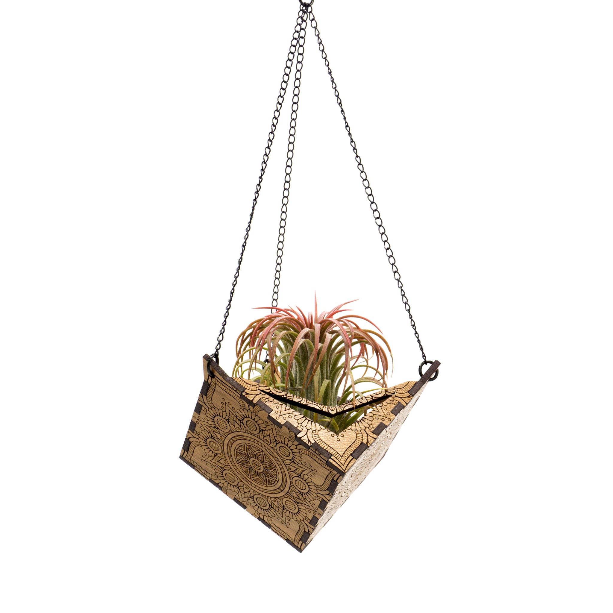 Hemicube Free Hanging Planter - Air Plant Holder | Handmade Wooden Home Decor for Plant Lovers | Unique Wall Display for Living Rooms, Offices & Gifts | Modern Boho Indoor Gardening Decor