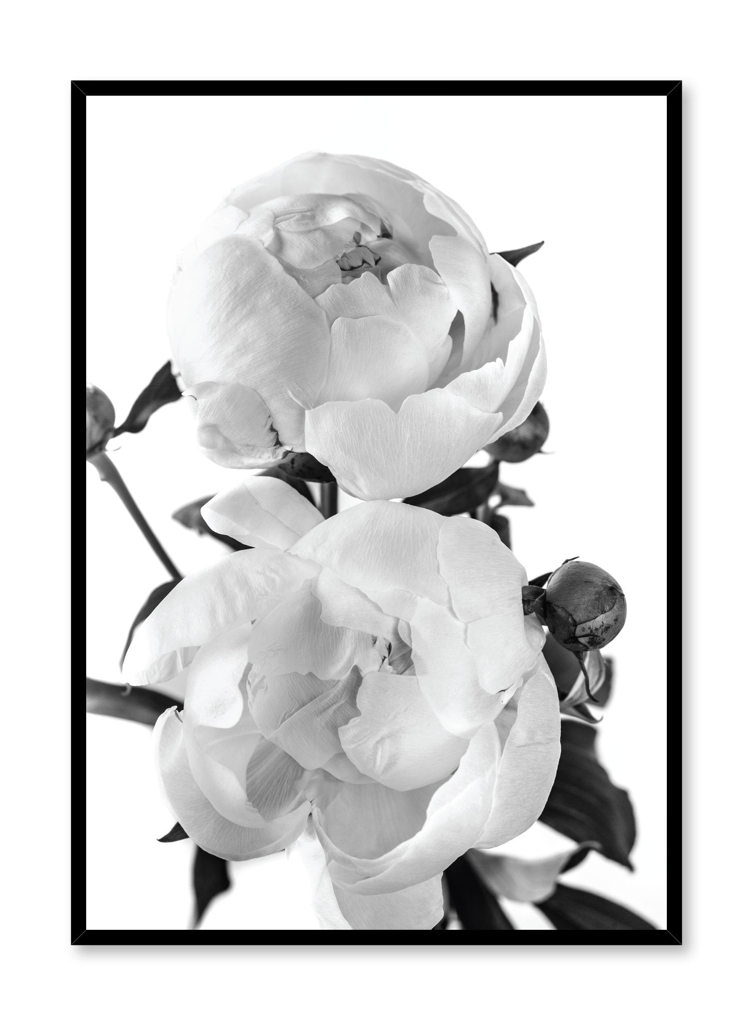 Black and White Lovers Poster - Romantic Wall Art for Bedroom, Living Room & Office Decor