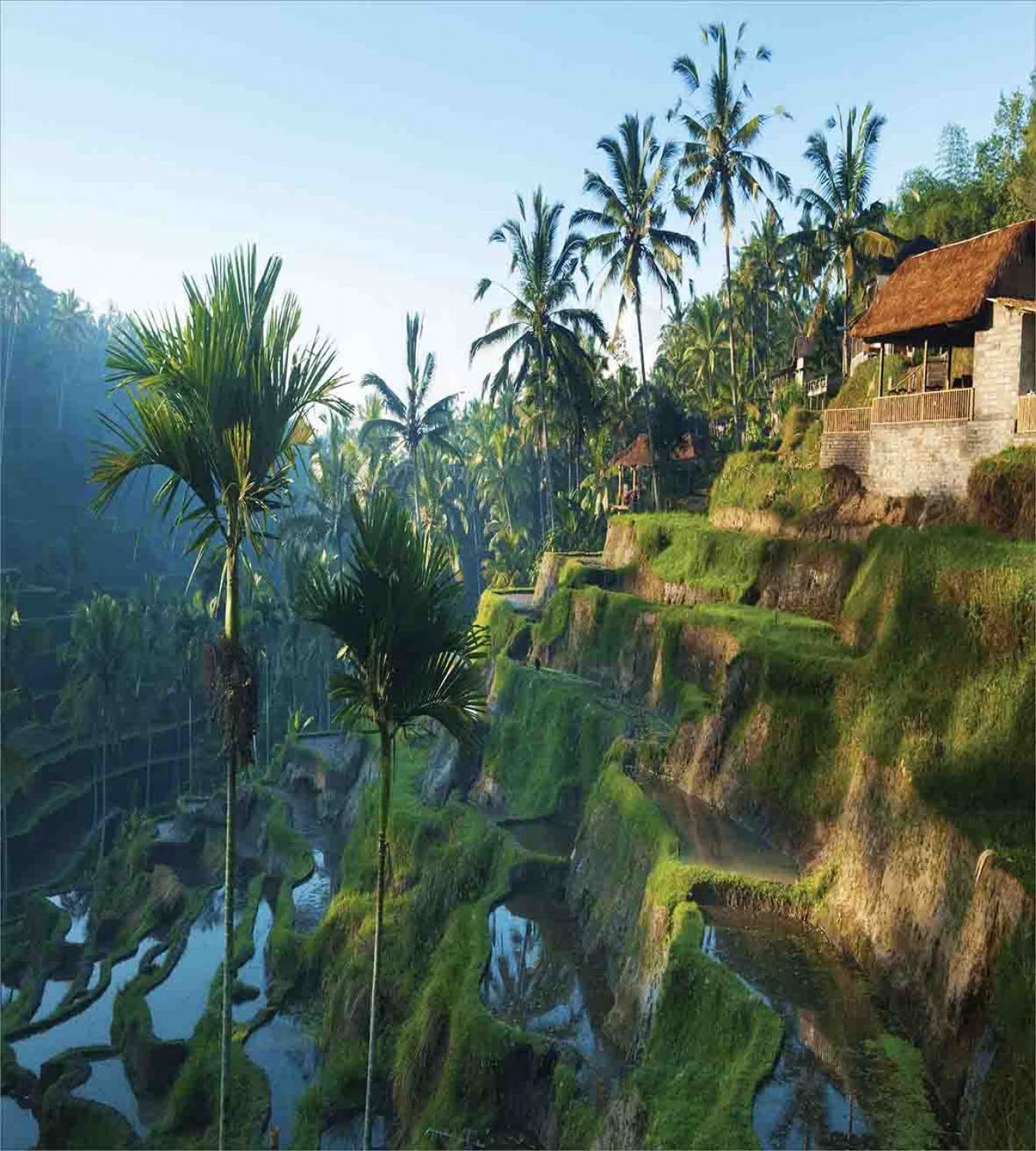 Ambesonne Balinese Duvet Cover Set - Terrace Rice Fields Palm Trees Design, Traditional Farmhouse Style, Morning Sunrise Bali Indonesia Theme, 2-Pack Twin Size Green Bedding Set with 2 Duvet Covers & 2 Pillowcases - Perfect for Tropical Bedroom Decor, Guest Room Makeover, and Vacation-Themed Home Styling