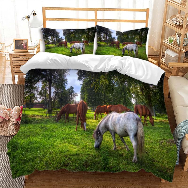Horse 5