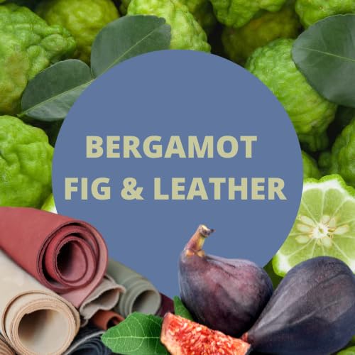 Premium Men's Luxury Body Lotion - Cobalt Bergamot Fig & Leather Scent with Lanolin & Jojoba Oil, 16 Oz (2 Pack) - Hydrating Moisturizer for Dry Skin, Perfect for Daily Use & Gift Giving