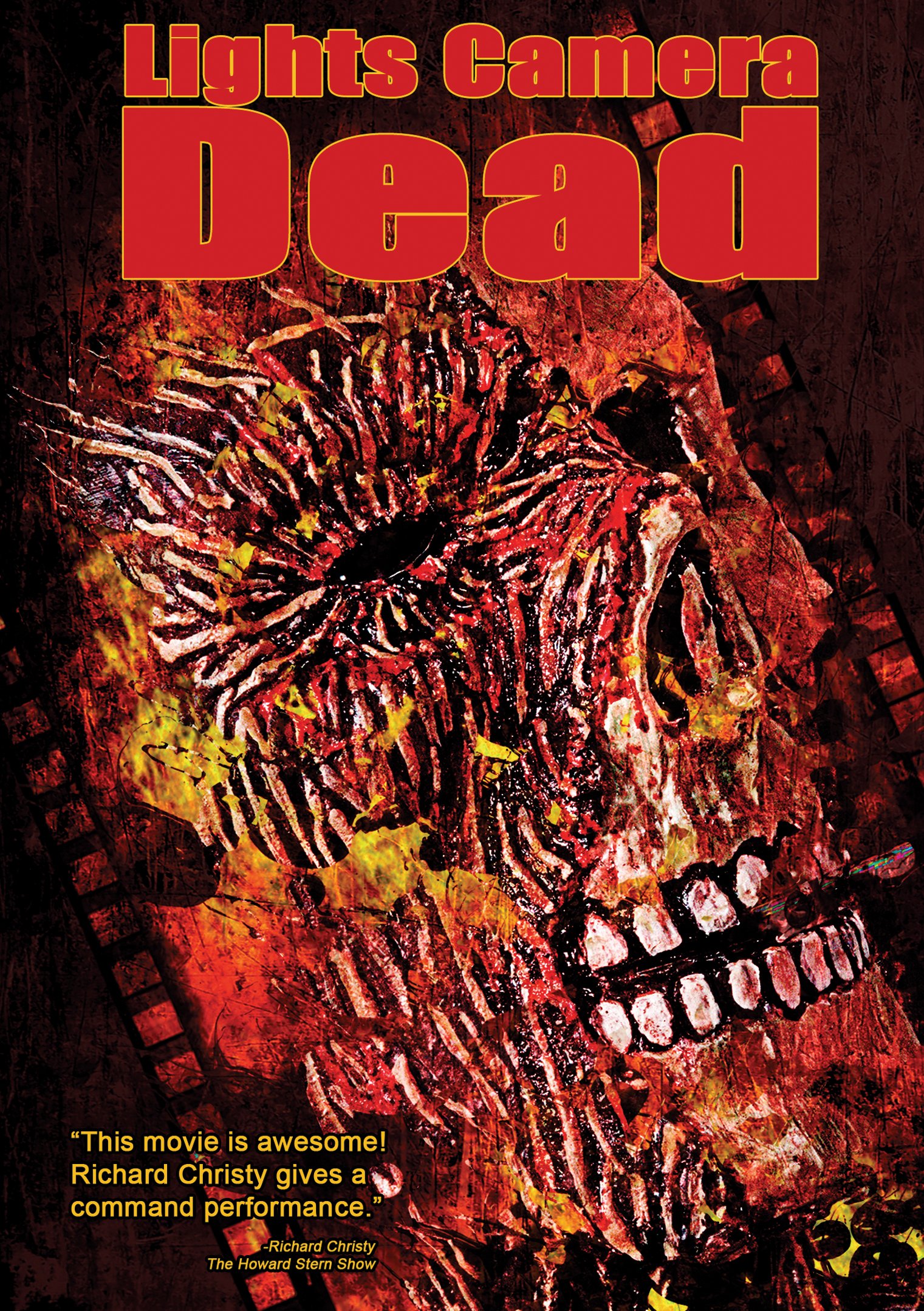 Lights Camera Dead - Thriller Movie DVD - Perfect for Halloween Movie Nights & Horror Film Collections
