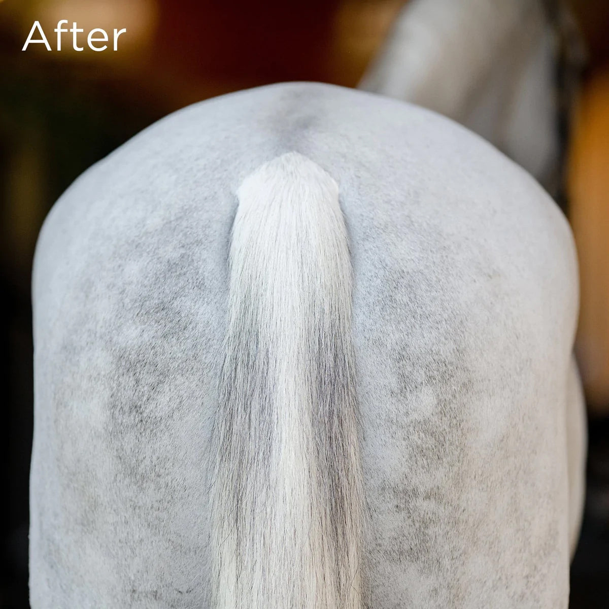 EquiFit No Hassle Tail Wrap - Breathable Horse Tail Wrap for Protection & Grooming - Perfect for Riding, Training & Show Preparation
