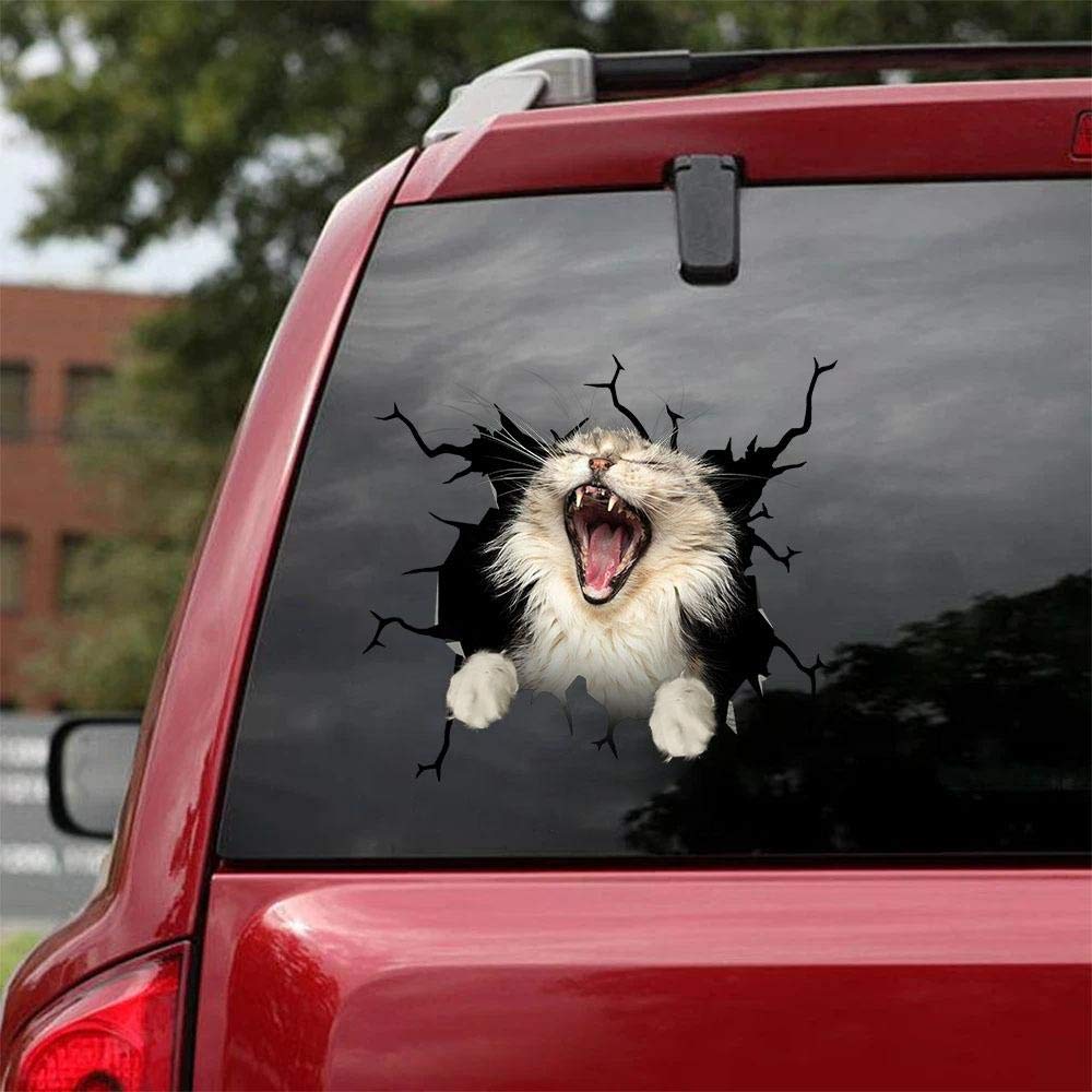 Maine Coon Cat Car Decals Pack of 2 - 10